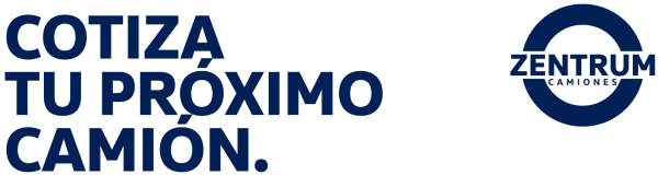 ítems_para_form_landing_texto más logo